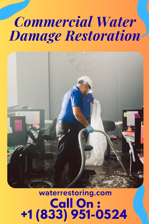 Commercial Water Damage Restoration in Burien, WA