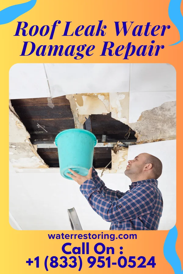 Roof Leak Water Damage Repair in Burien, WA